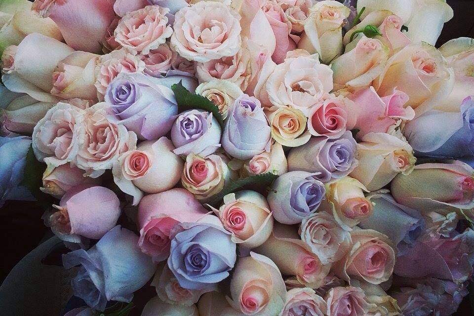 I Love Roses