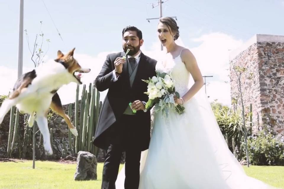 Pareja en jardín con un perrito saltando