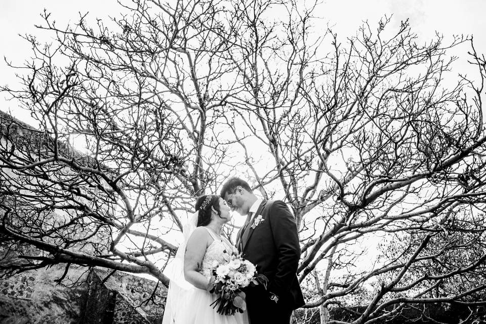 Boda en Hacienda Santa Barbara