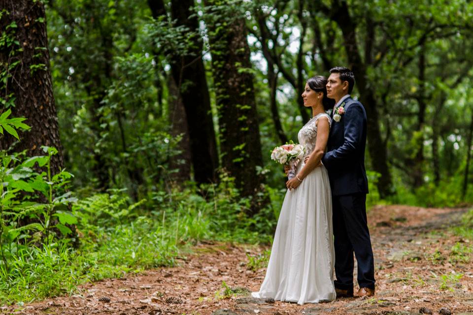 Novios bosque