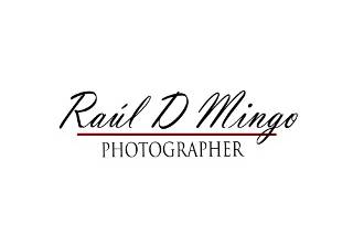 Raul d mingo