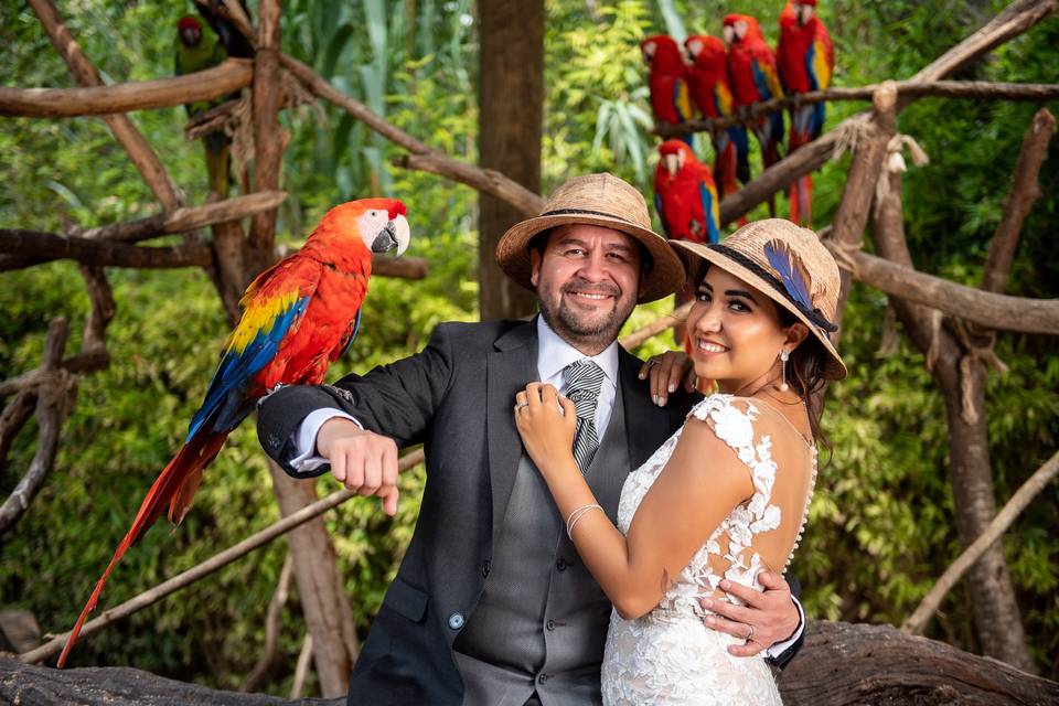 Novios con sombrero de safari y sosteniendo un ave