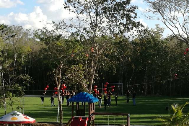 Campo