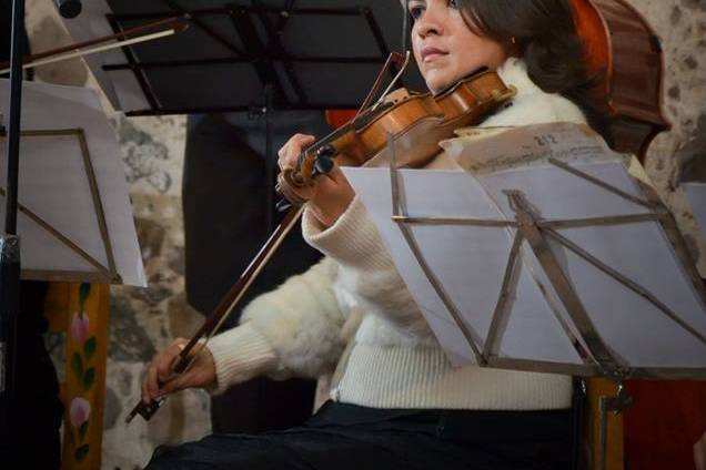 Violín y contrabajo