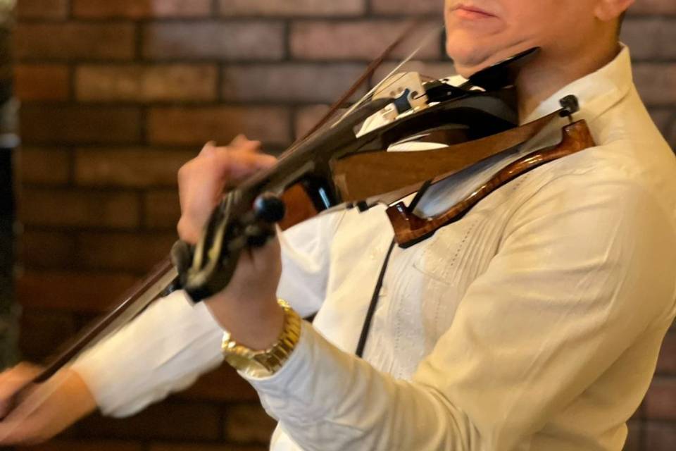 Violinista