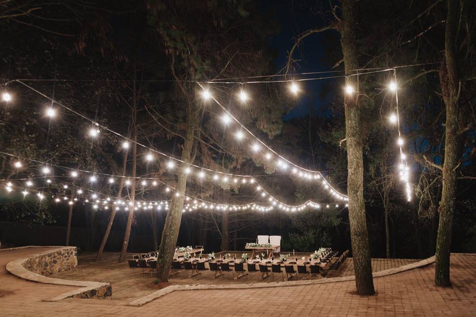 Noche en Arden
