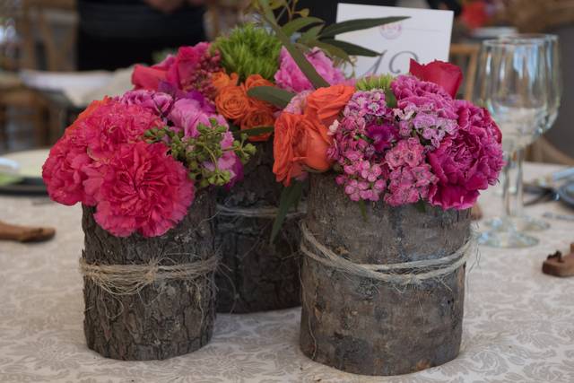 Cortezas y colores de verano