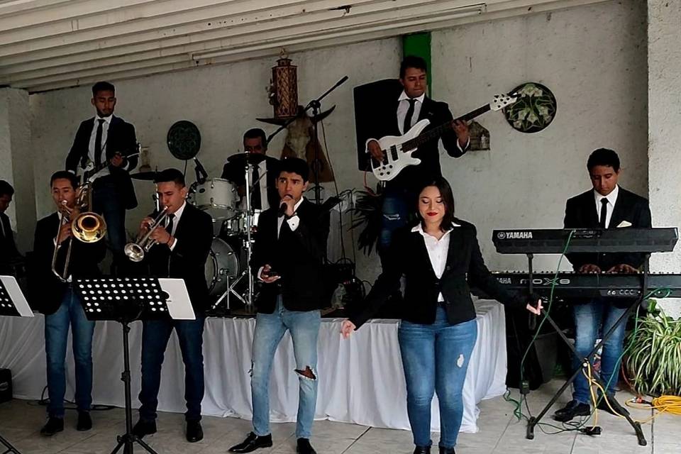 Músicos profesionales