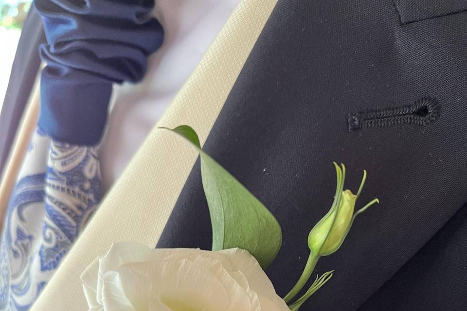 Boutonier novio