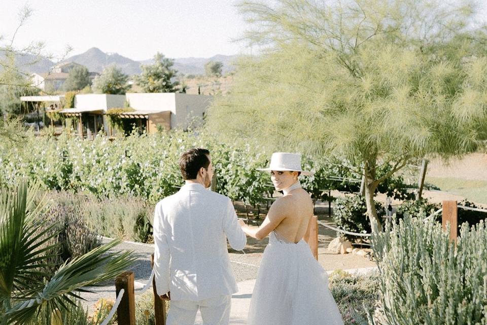 Novios sesión en viñedos