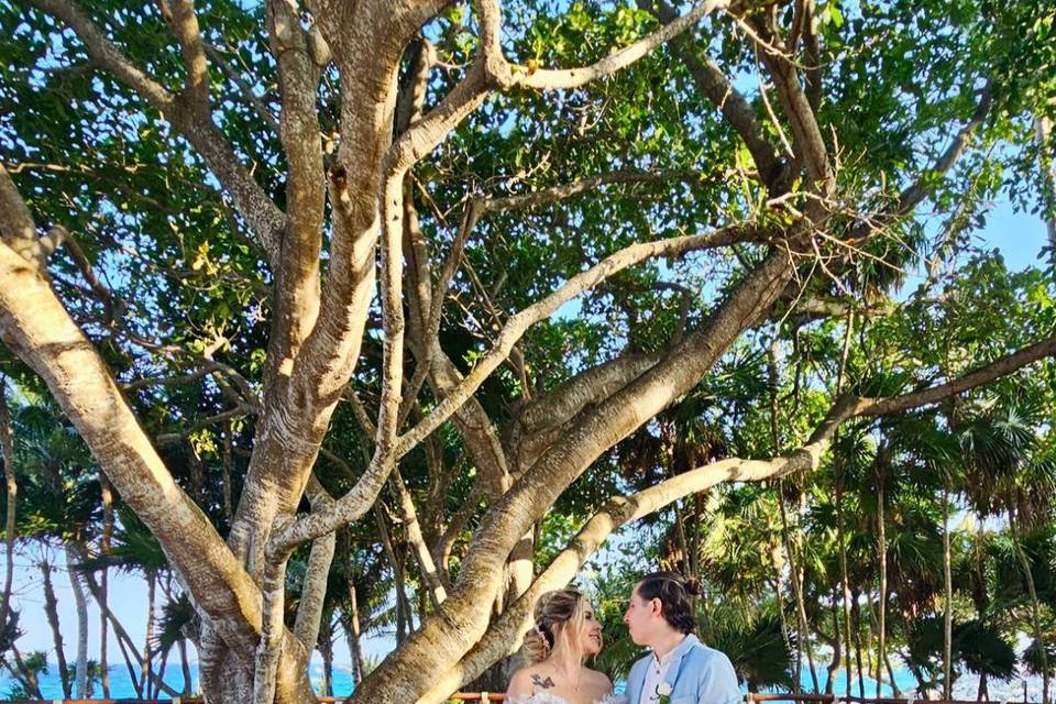 Pareja frente a un árbol