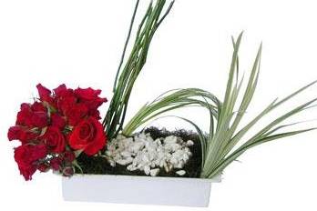 Sorprendan a sus invitados