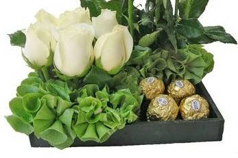 Diseños personalizados