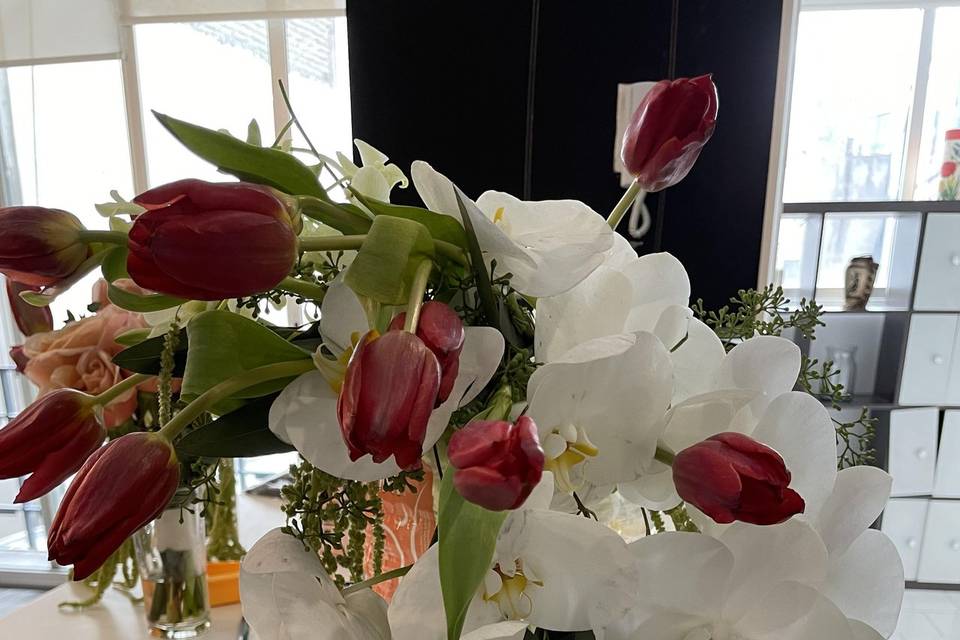 Orquídeas + tulipanes