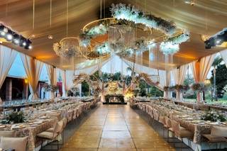 Paty Quintero Decoración