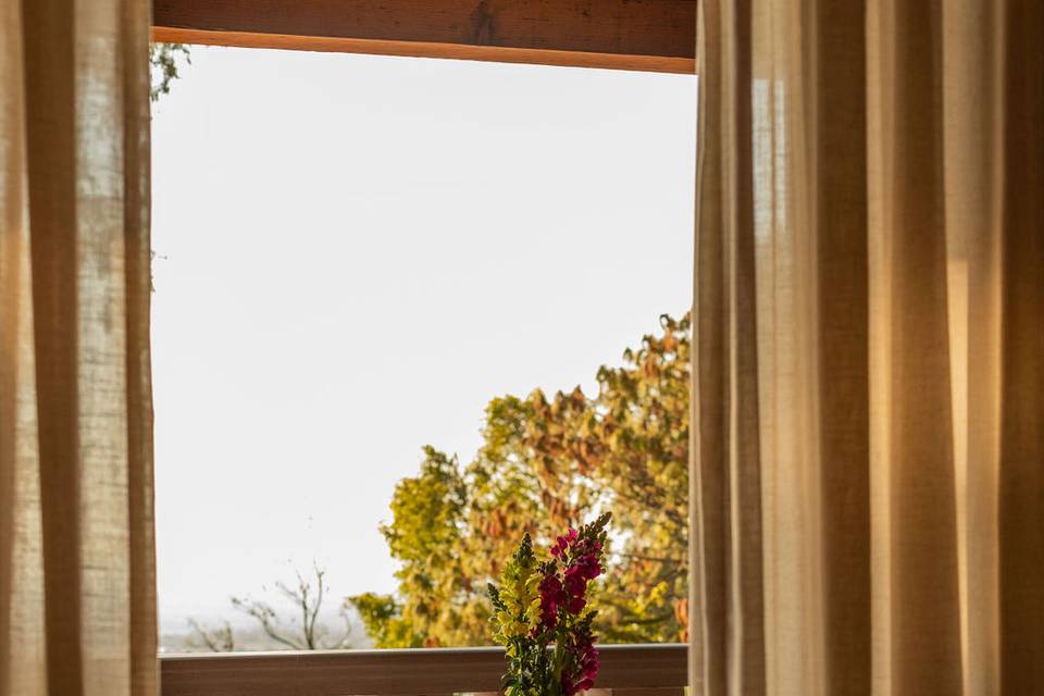 Terraza de habitación