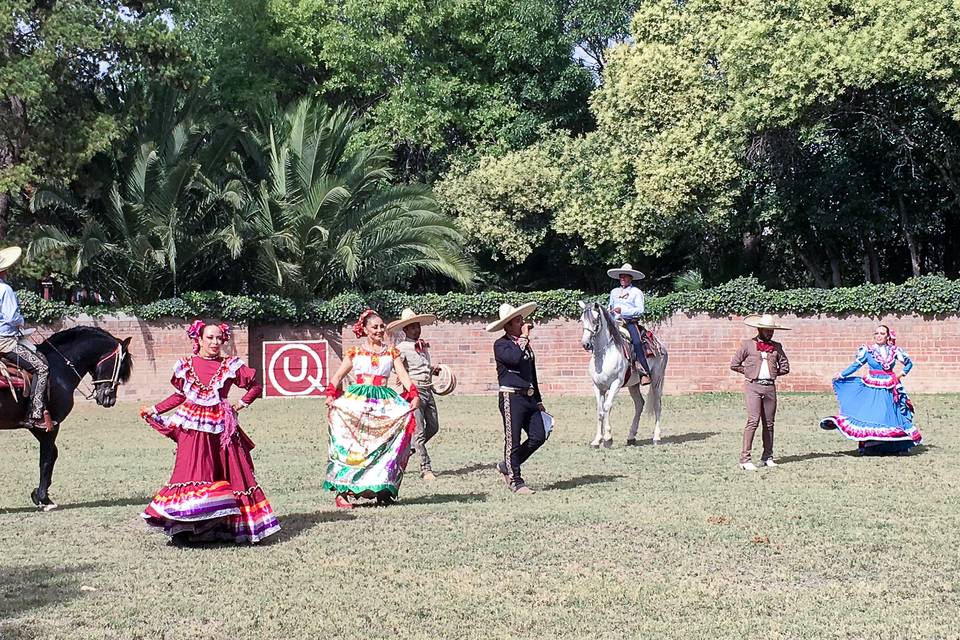 Espectáculo ecuestre