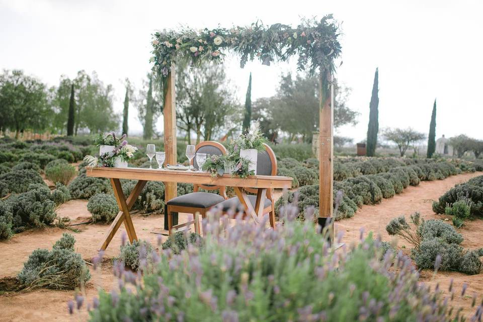 Mesa de novios en el viñedo