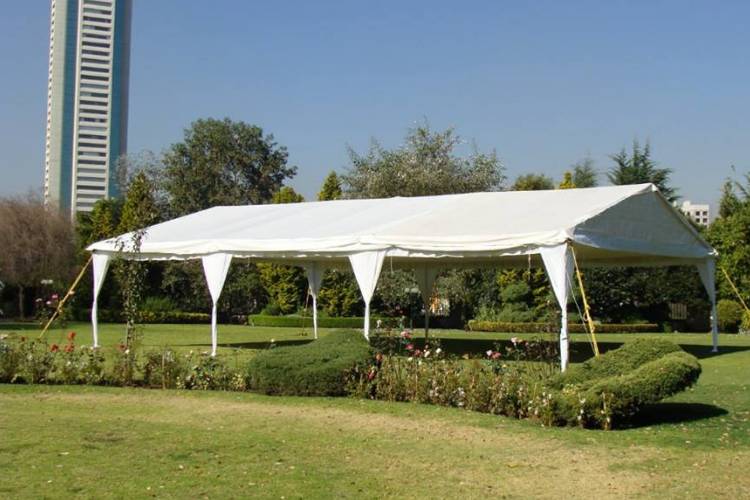 Carpa elegante