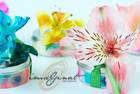 Cajas para mentas con flor natural