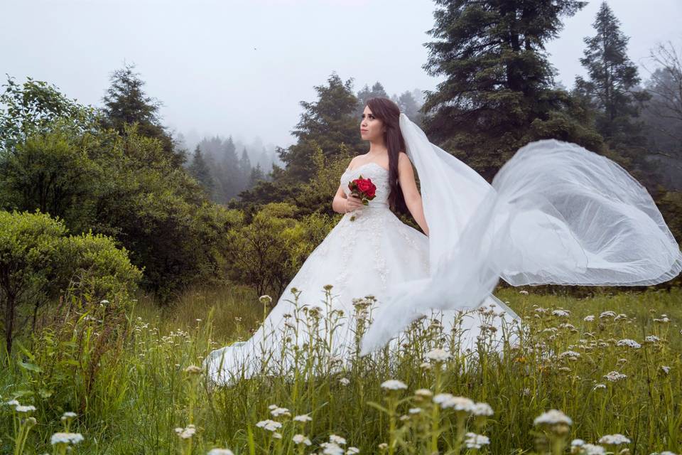 Vestido y bosque