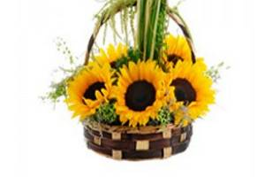 Canasta de girasoles