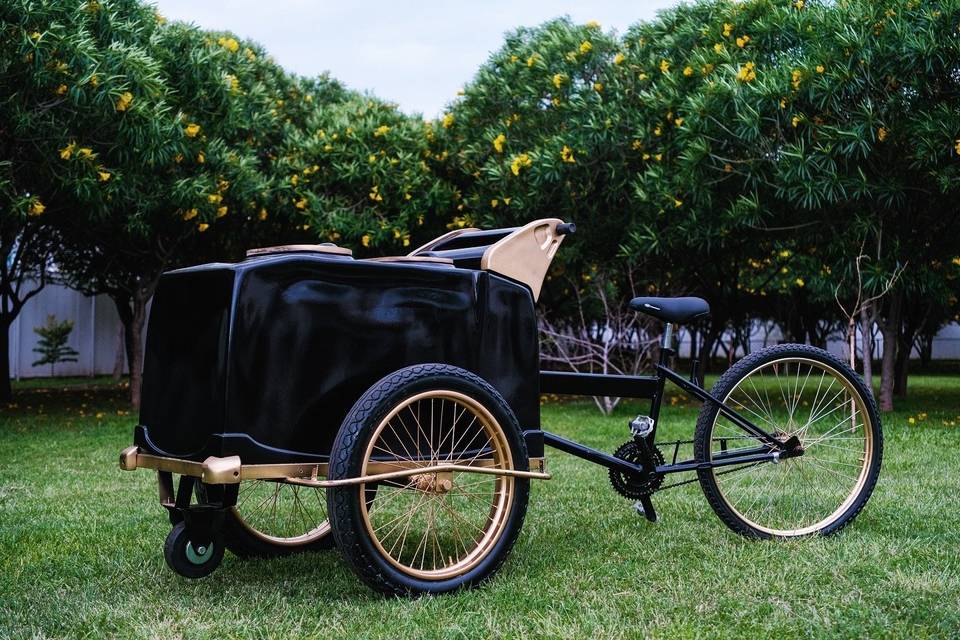 Carrito de paletas heladas