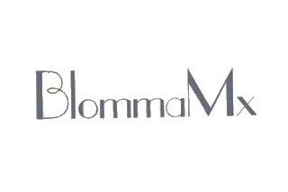 Blomma Diseño Floral logo