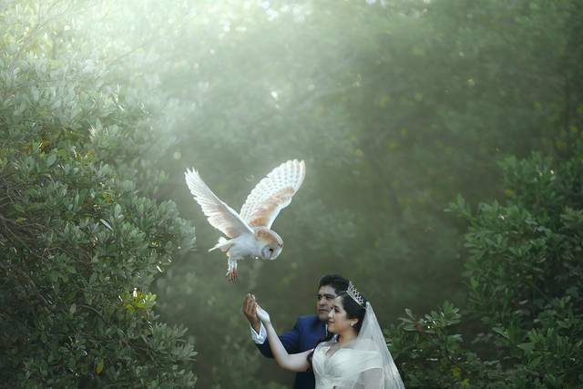 Novios en el bosque con una lechuza