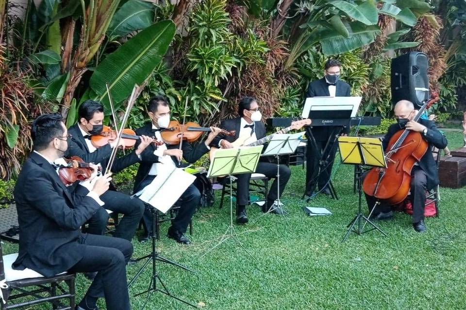 Orquesta de Cámara de Cuautla