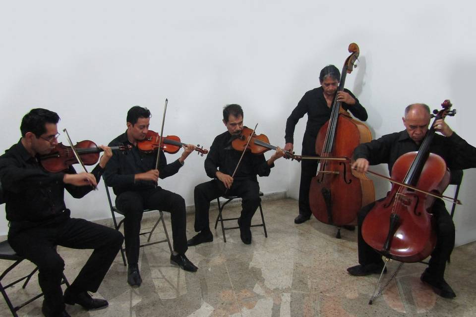 Orquesta de Cámara de Cuautla