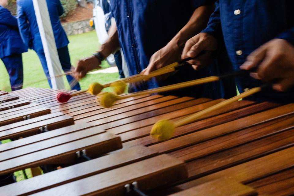 Marimba