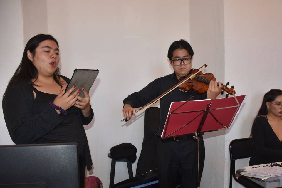 Teclado, violín y voz