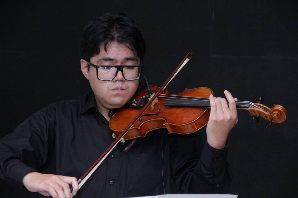 Violín