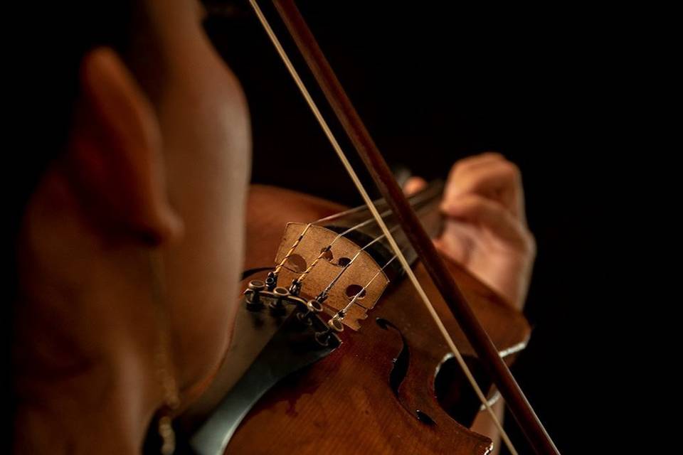 Violín acústico