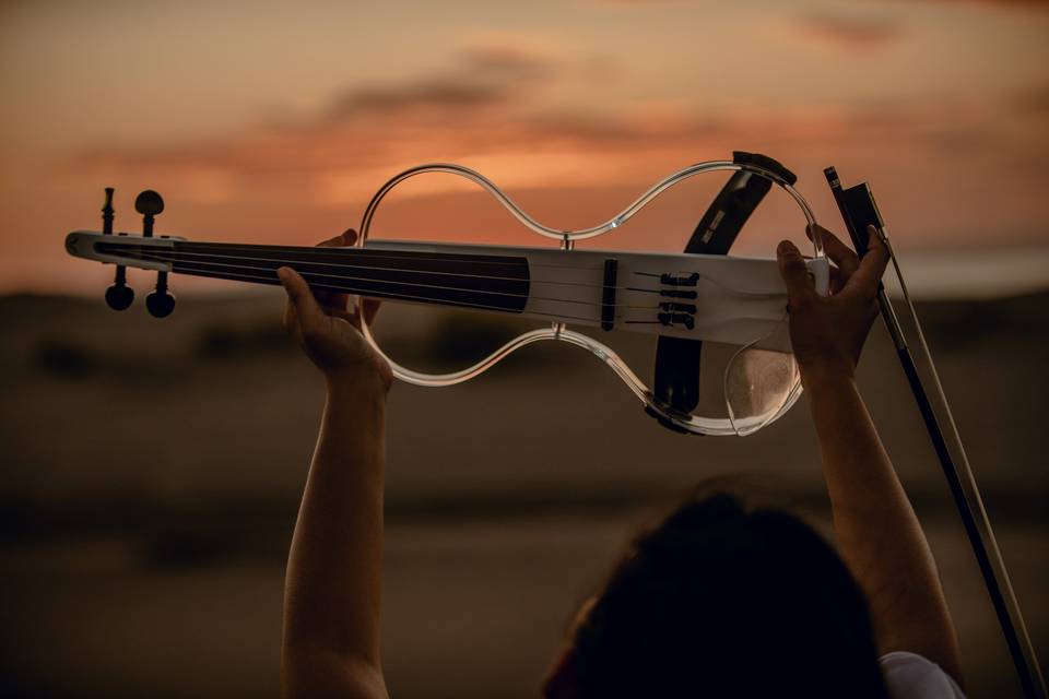 Violín eléctrico