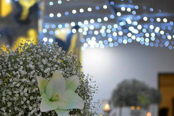 Bodas