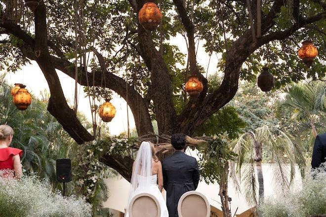 Novios casándose en el jardín