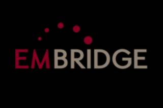 Embridge logo