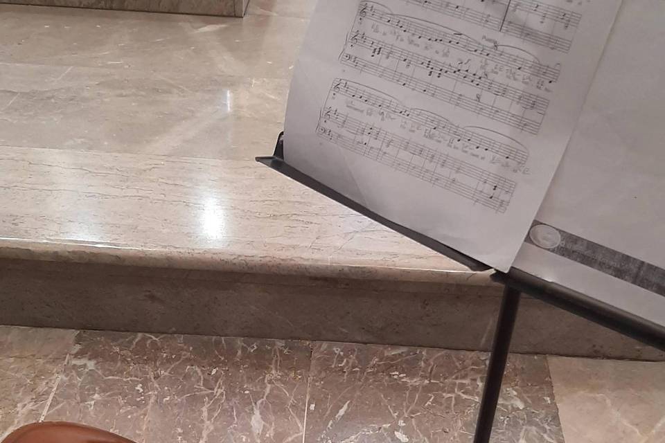 Misa