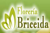 Florería Briceida