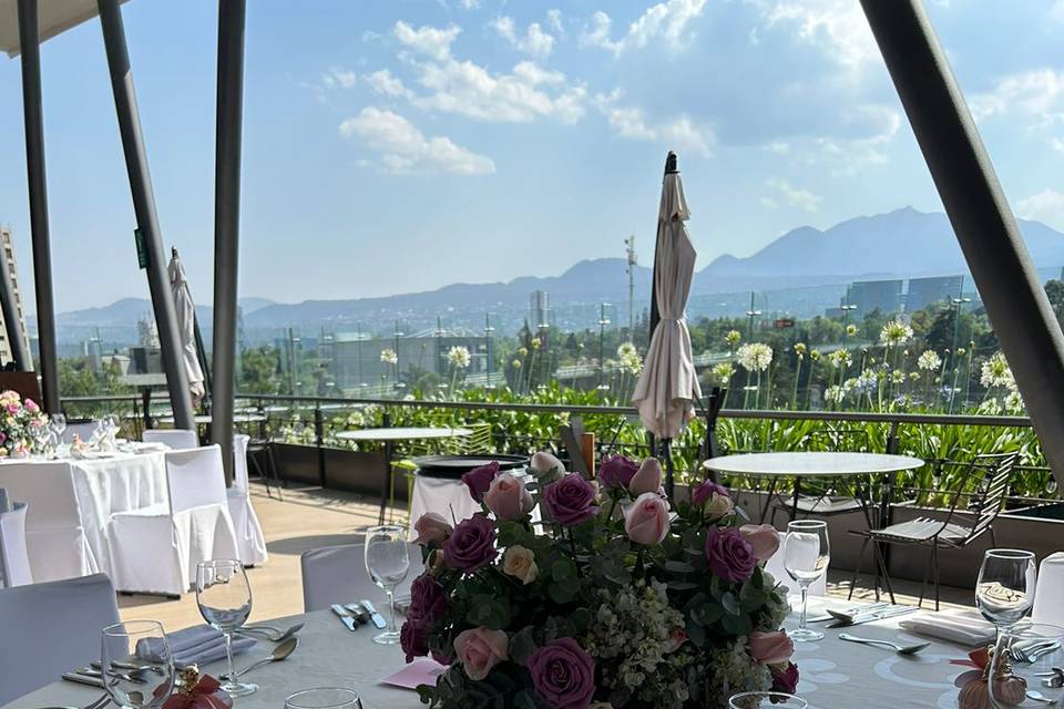 Roof garden