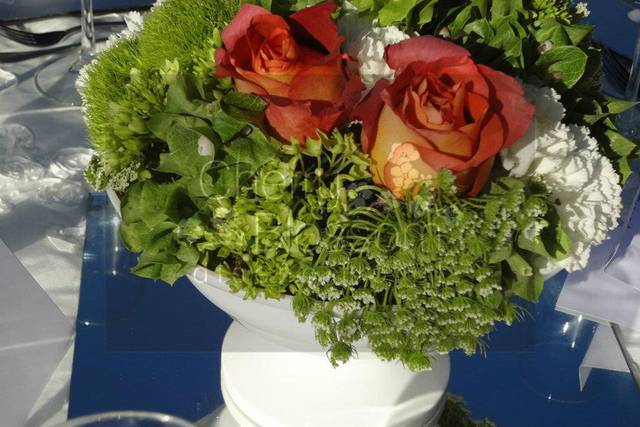 Boda copa blanca french