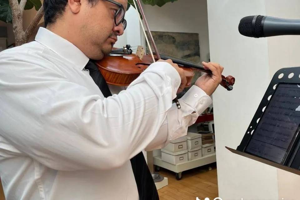 Violín