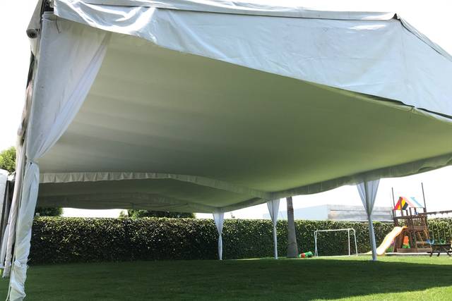Carpa elegante