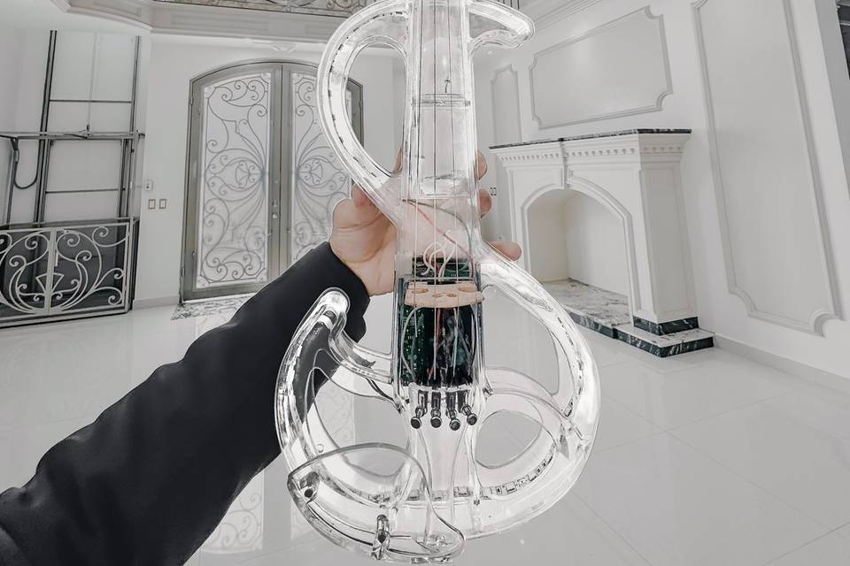 White concept