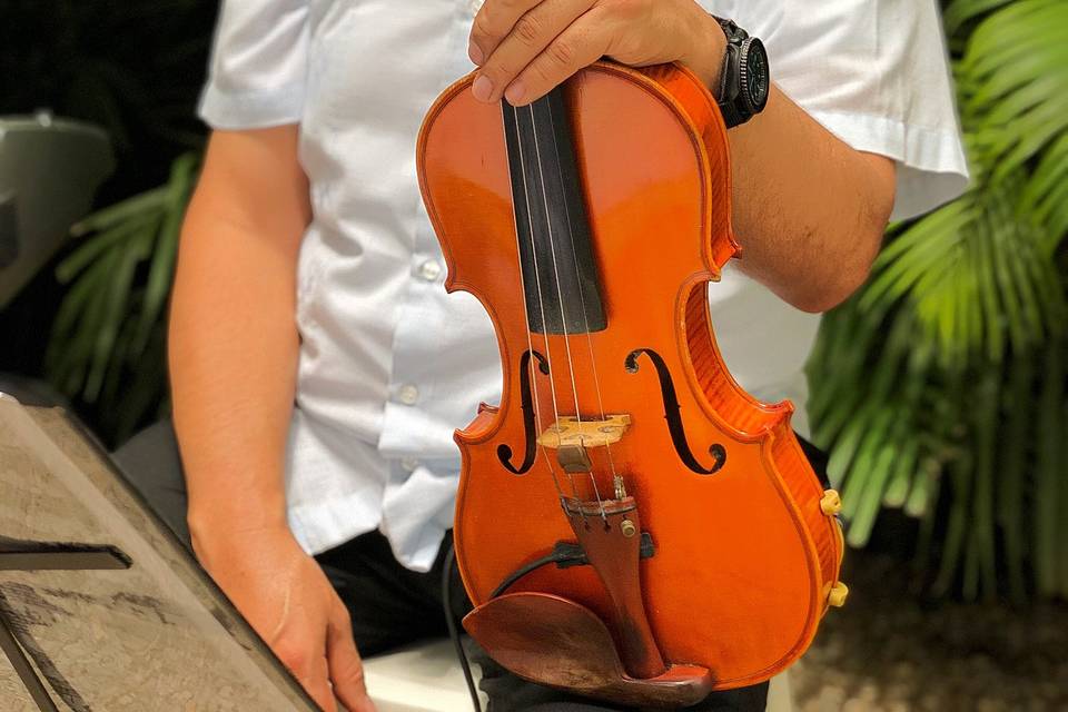 Violinista