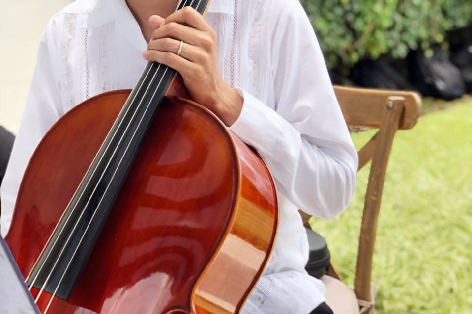 Violonchelo