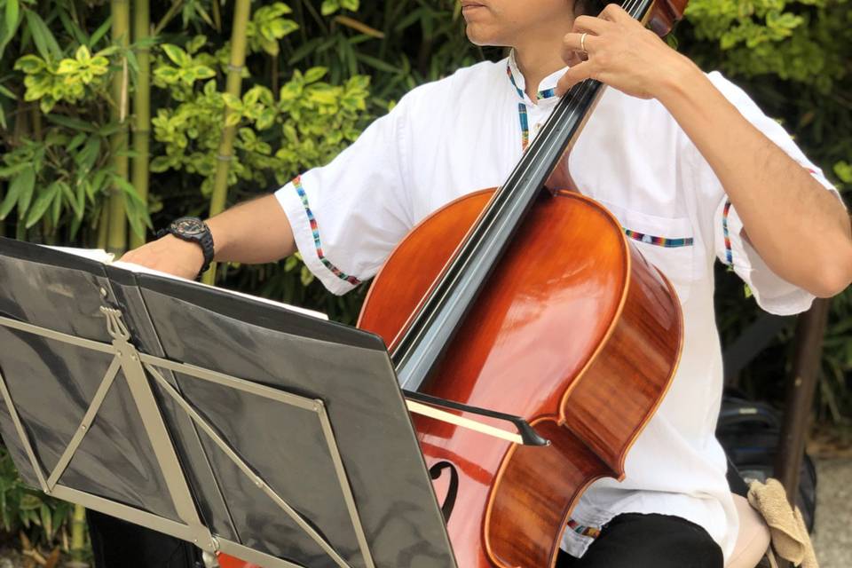 Cello