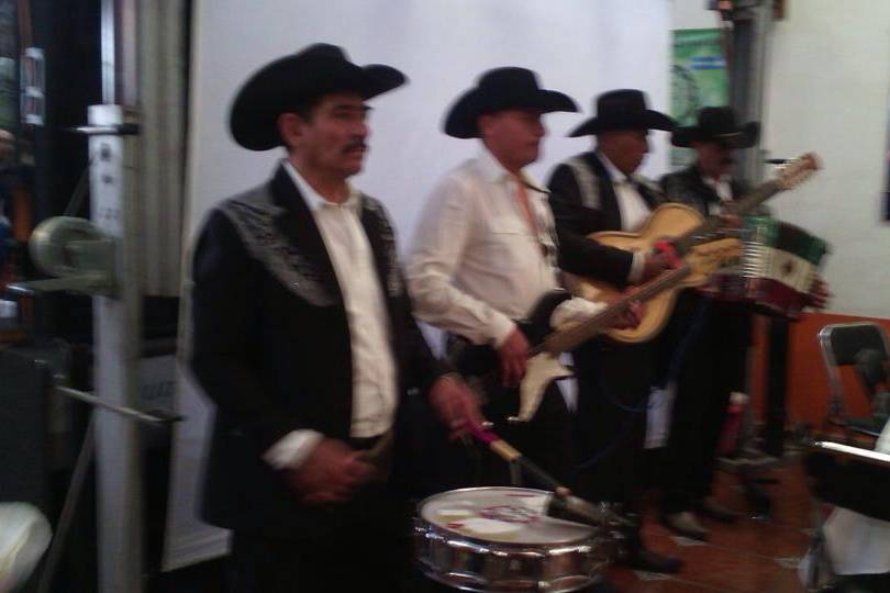 Fiesta Jardín